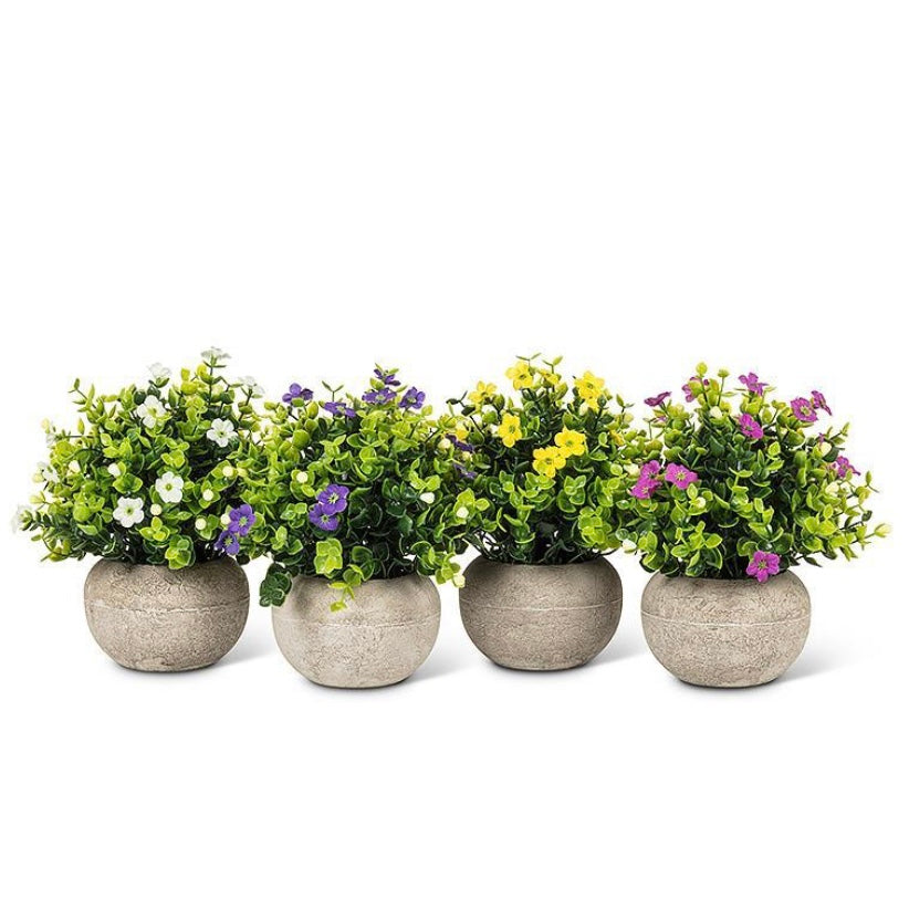 Petite Flowering Plant Pot (4 Colours)