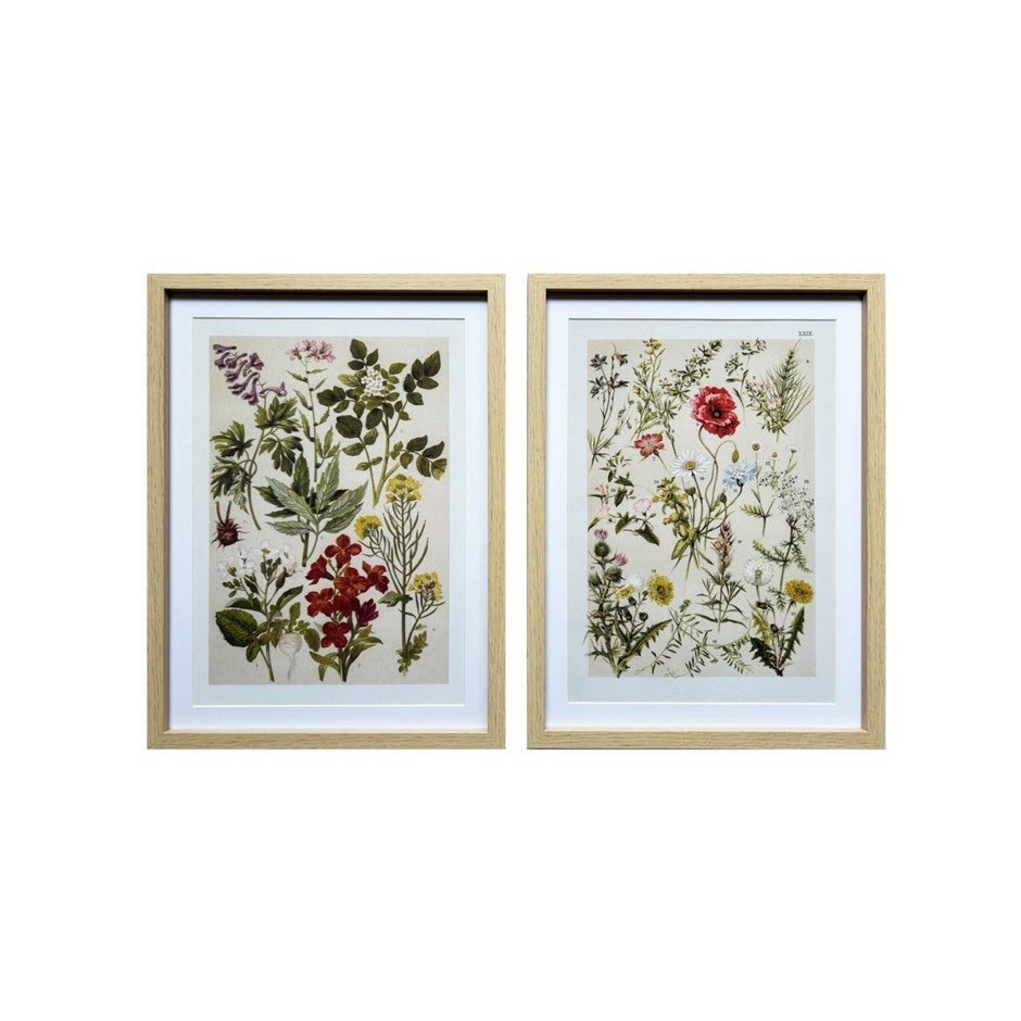 Set of 2 Framed Wild Flower Prints