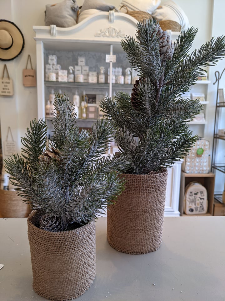 Frosted Pine Tree (2 Sizes)